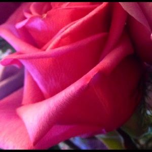 Meet your Posher, Barbara